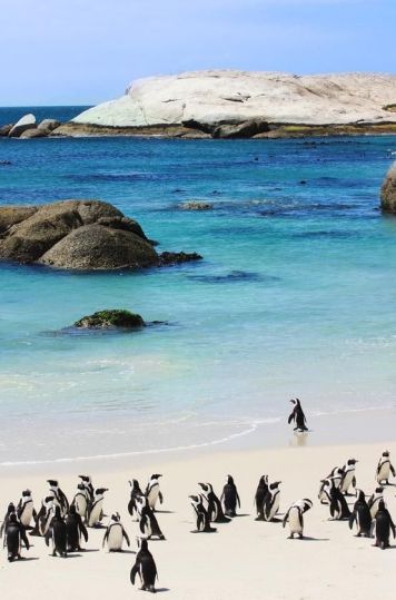 boulders-beach